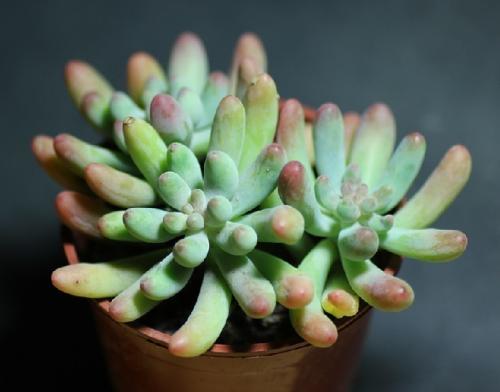 ̨׷ֻȫʾƽ̨һ֮á