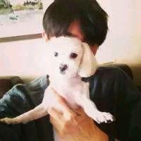 ԭ洫ýͶʿعɼ޹˾ԭί³ܼͼ